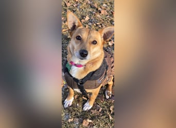 Maila sucht ein neues Zuhause