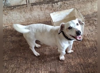 Josef, geb. ca. 10/2023, lebt in GRIECHENLAND, auf einer privaten Pflegestelle