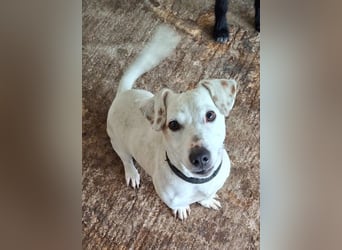 Josef, geb. ca. 10/2023, lebt in GRIECHENLAND, auf einer privaten Pflegestelle