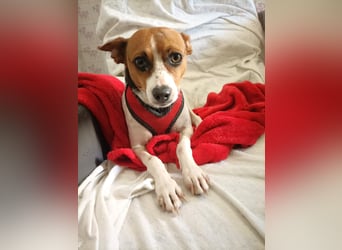 Lulú sucht ihr Zuhause für immer