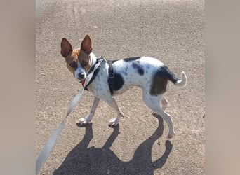 Lulú sucht ihr Zuhause für immer