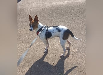 Lulú sucht ihr Zuhause für immer