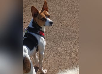 Lulú sucht ihr Zuhause für immer