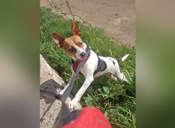 Lulú sucht ihr Zuhause für immer