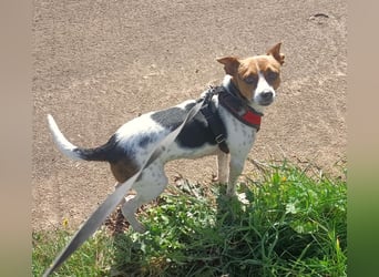 Lulú sucht ihr Zuhause für immer