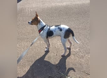 Lulú sucht ihr Zuhause für immer