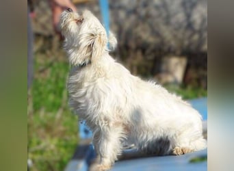 MIMMI die kleine hat große Angst