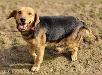 NICKY ist eine absolute Bereicherung