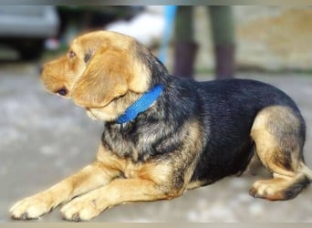 NICKY ist eine absolute Bereicherung