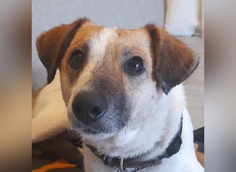 MIRKA liebt streicheln