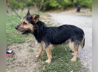RAGNAR wurde erbarmungslos ausgesetzt