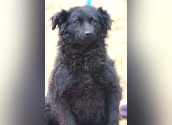 ZARA 2 zittert um ihr Leben