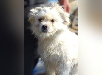 MIMMI die kleine hat große Angst