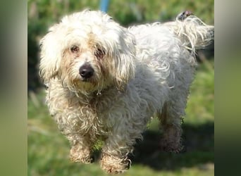 MIKE , wer hilft uns den kleinen zu retten?