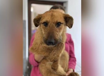 BILBO ist ❤️ allerliebst