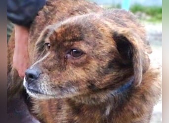 HOLLY ist zuckersüß und lieb