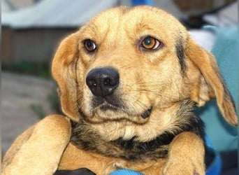 NICKY ist eine absolute Bereicherung