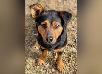 FLOCKY ist der Liebling aller