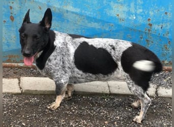 MIA ist eine Frohnatur