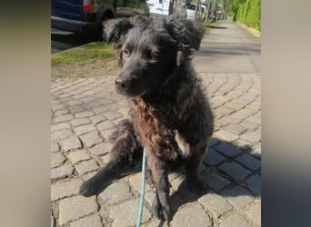 LOCCO ist ein niedliches Kerlchen