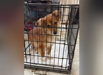 TESSY schwebt in Lebensgefahr TESSY schwebt in Lebensgefahr