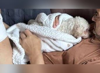 SNOW wurde herzlos entsorgt