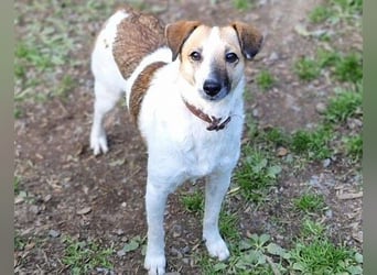 MIRKA liebt streicheln