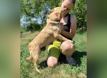 GAIA wünscht sich sehnlichst eine Familie