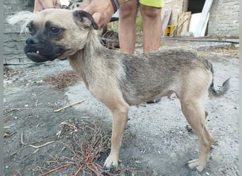 LUNA, das liebe Mädel schwebt in großer Gefahr