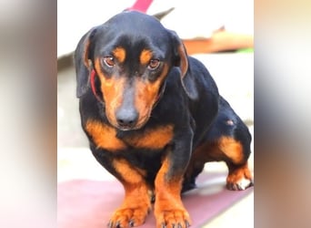 JACK braucht Lebensretter