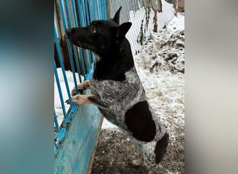 MIA ist eine Frohnatur