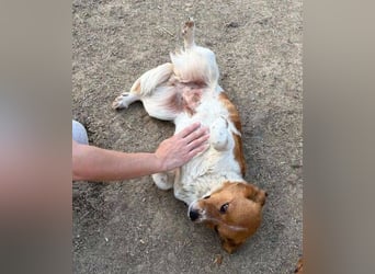 TRUFFELS wem darf sie ihr großes ❤️ schenken?
