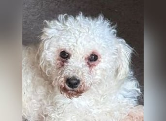 SNOW wurde herzlos entsorgt