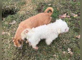 SNOW wurde herzlos entsorgt