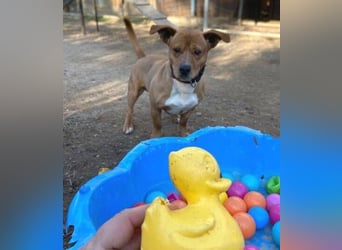 WINSTON ist ein herziger Kerl