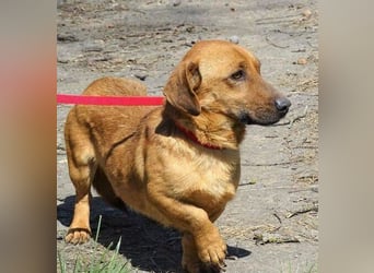 PASHA ist ein kleiner Schatz