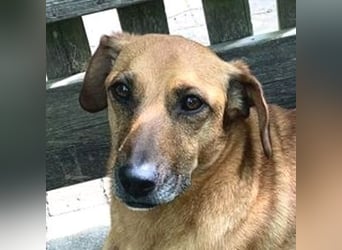 PASHA ist ein kleiner Schatz