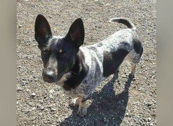 MIA ist eine Frohnatur