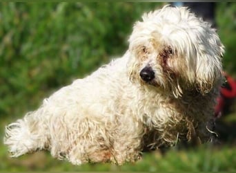 MIKE , wer hilft uns den kleinen zu retten?