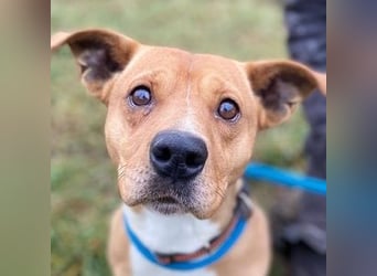 WINSTON ist ein herziger Kerl