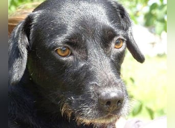 MONA ist ein Goldschatz