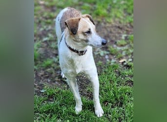 MIRKA liebt streicheln