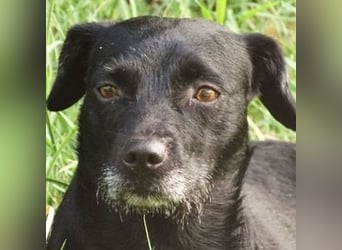 MONA sitzt in einem trostlosen Shelter