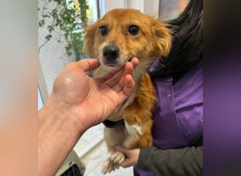 TESSY schwebt in Lebensgefahr TESSY schwebt in Lebensgefahr