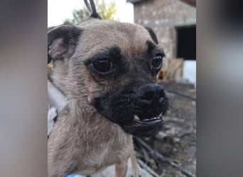 LUNA, das liebe Mädel schwebt in großer Gefahr