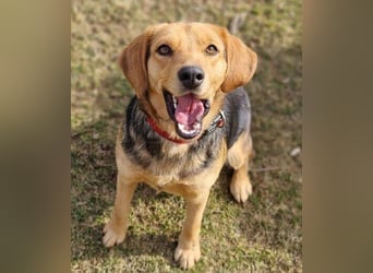 NICKY ist eine absolute Bereicherung