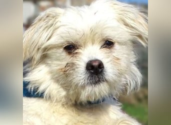 MIMMI die kleine hat große Angst