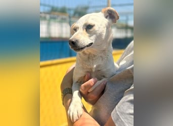 SUNNY wem darf sie ihr Herz schenken
