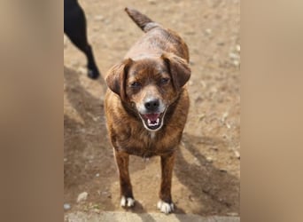 HOLLY ist zuckersüß und lieb