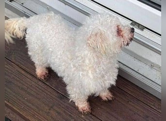 SNOW wurde herzlos entsorgt